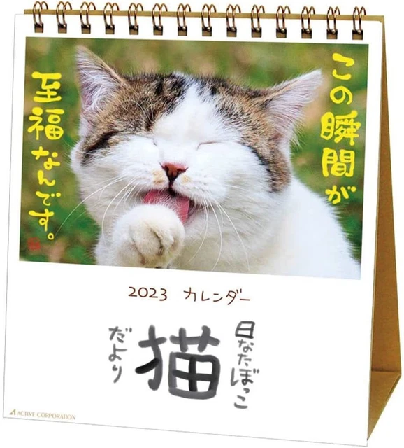 SUNBATHING CAT NEWS [2023 Calendar] Desktop calendar2023/Schedule Cat £