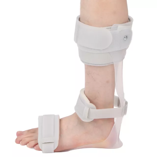 (Linker Fuß XL)Fußheber-Orthese-Schiene Einfaches Abnehmen Fußheber-Schiene