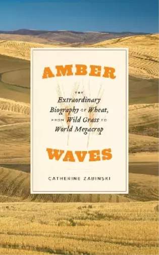 Catherine Zabinski Amber Waves (Taschenbuch) (US IMPORT)