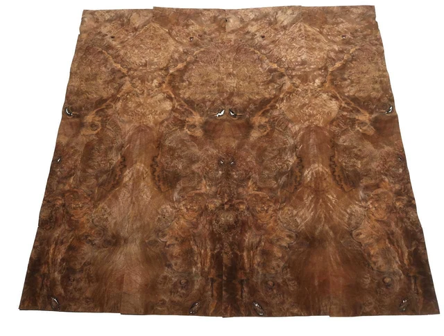Nogal madera de raíz saramp 2W 79x20-23cm 4 hojas