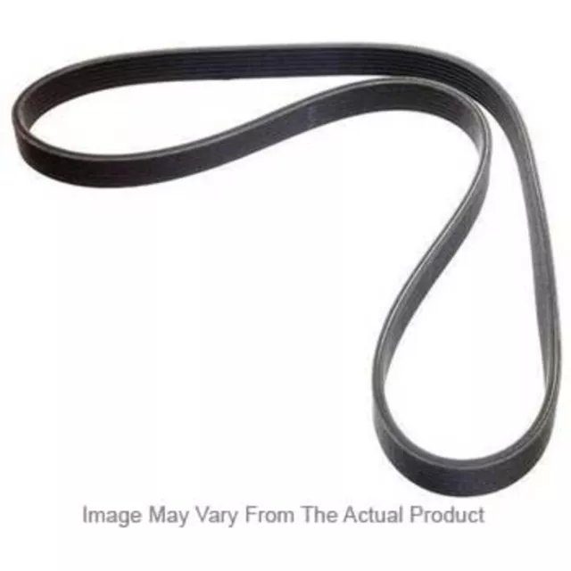 5050325 Dayco Drive Belt for Chevy 3 Series Van Toyota Corolla Acura TL Escort