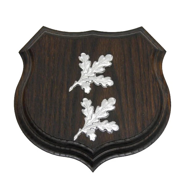 Armas Placa de Jabalí Placa Jabalí Hoja de Roble Portada Fácil