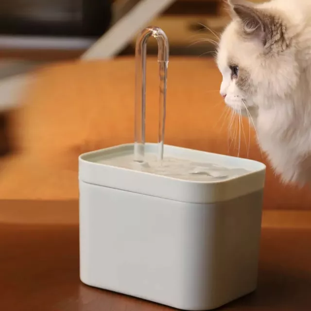 Fontaine à eau pour chat, Distributeur automatique d'eau pour animaux 