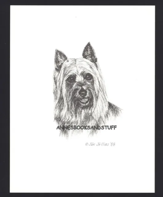 #410 AUSTRALIAN SILKY TERRIER* dog art print * Pen and ink drawing * Jan Jellins