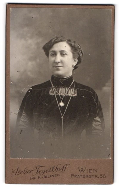 Photography F. Jelinek, Vienna, Praterstr. 58, Bourgeois Lady in Dress with Neck