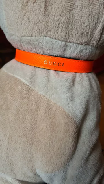 Gucci Collare Per Animali Cane Gatto Arancione fluorescente     Taglia S/M