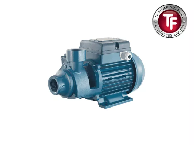 Pentax PM45 BR Peripheral Turbine Pump 110v - 40 LPM - 022-023