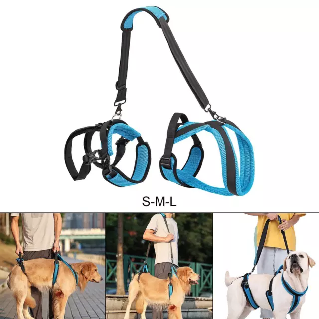 Harnais de levage pour chien, sangle de levage, aide canine, sangles respirantes