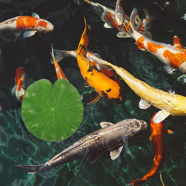 Foglie Di Loto Artificiali KARLOR | 8 Pezzi | Schiuma Galleggiante | Per Stagno E Decorazione - Foto 11