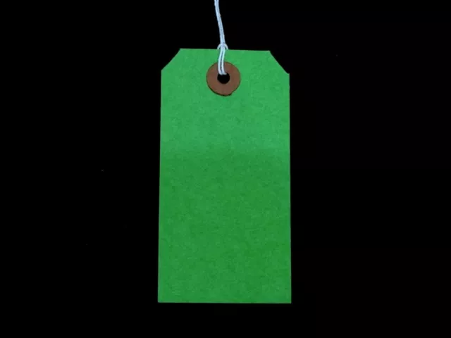 Green Strung Tie On Tags Xmas Label Wedding Craft Gift 96mm x 48mm ST3