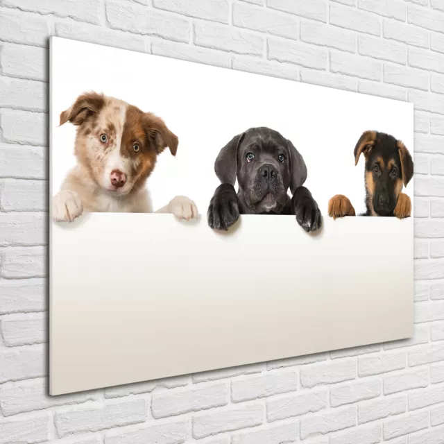 Glas-Bild Wandbilder Druck auf Glas 100x70 Deko Tiere Drei Welpen