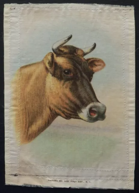JERSEY COW DOMESTIC ANIMAL HEADS 1913-1914 American Tobacco Ref S1