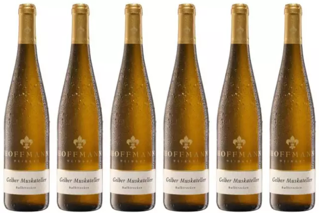 6x Gelber Muskateller Awc Vienna Gold, 2022 - Weingut Rudolf Hoffmann, Mosel! W…