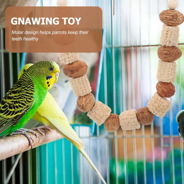 Bird Cages with Perches for Macaw You'll Love | Wayfair - Macaw Cage For Multiple Birds With Foraging Toys