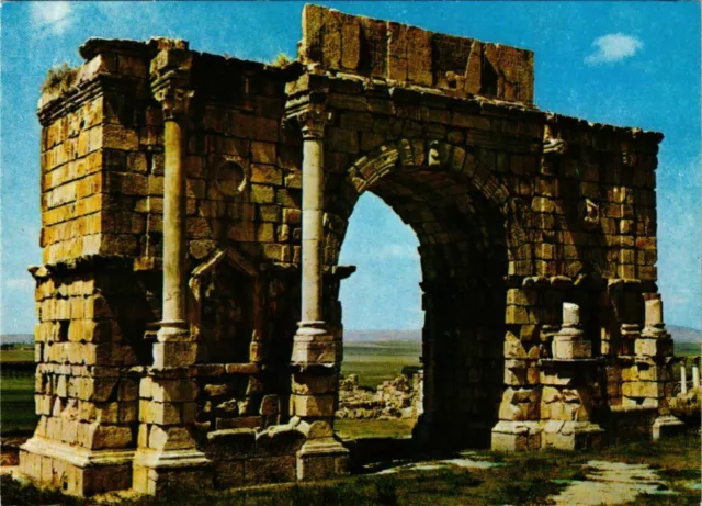 CPM AK Volubilis - MOROC (881229)