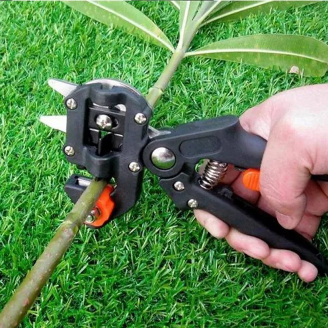 Sécateur de greffage Outil de greffage de jardin Sécateur Élagage