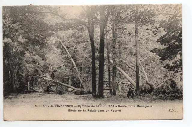 VINCENNES Val de Marne CPA 94 cyclone of June 16, 1908 in the woods