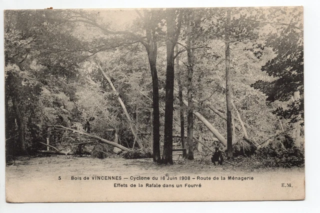 VINCENNES  Val de Marne CPA 94 cyclone du 16 juin 1908 au bois
