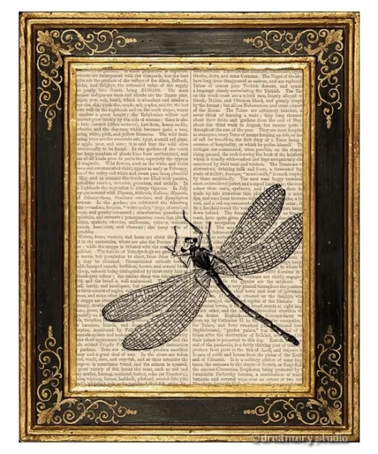 Dragonfly Art Print on Vintage Book Page Home Garden Office Hanging Decor Gifts