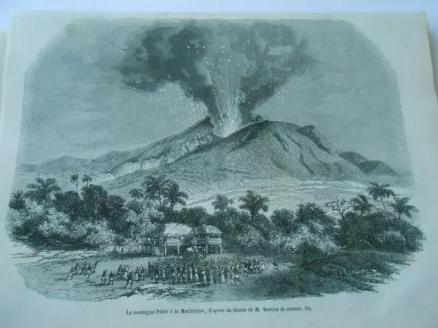 Gravure 1851 - La Montagne Pelée à la Martinique