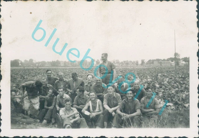 WW2 BRITISH PRISONERS of War POW's Men Work Detail Farming Stalag 21 ...