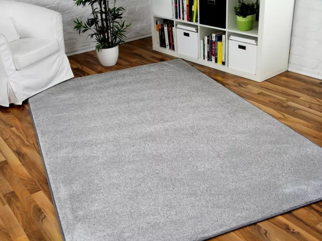 Hochflor Velours Teppich Triumph Hellgrau in 24 Größen