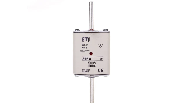NH2-Sicherungseinsatz 315A gF 500V WT-2 004139412 /T1DE