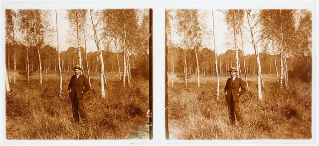 FRANCE Un homme dans une forêt c1930 Photo Plaque verre K3n4 Stereo Vintage