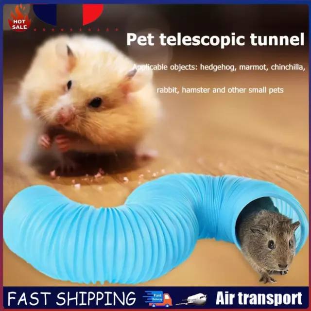 Small Pet Collapsible Tunnel Tube for Rabbit Ferret Guinea Pig Toy (Blue) FR