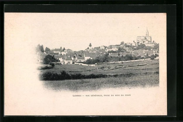 CPA Lormes, Vue Generale, prise du Bois du Four