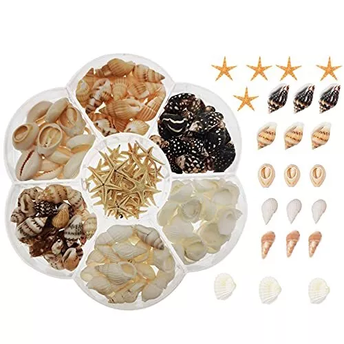 1 Box Mini Small Seashell Natural Sea Shells Clam Starfish for DIY Making Cra...