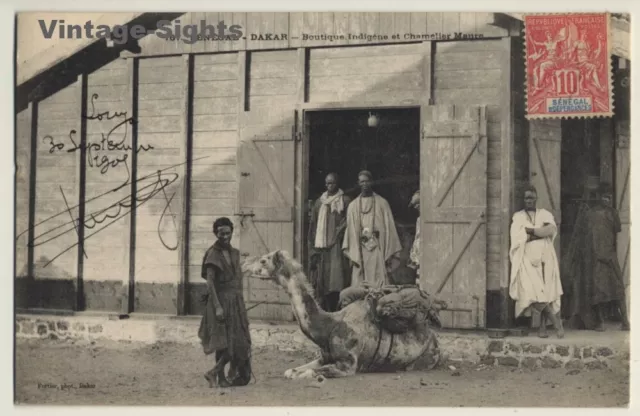 Dakar / Senegal: Boutique Indigéne Et Chamelier Maure / Camel (Vintage PC 1905)