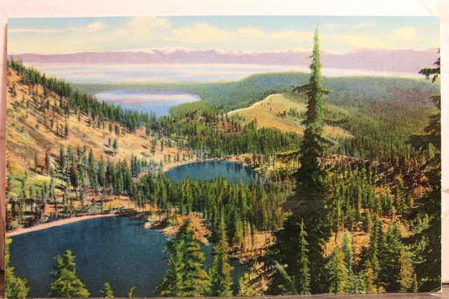 California CA Nevada NV Lake Tahoe Fallen Leaf Angora Lakes Postcard Old Vintage
