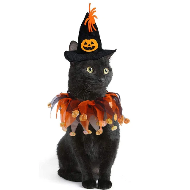 Halloween Haustierkostüm Set Schwarz Lustige Kleidung Für Weihnachten 5