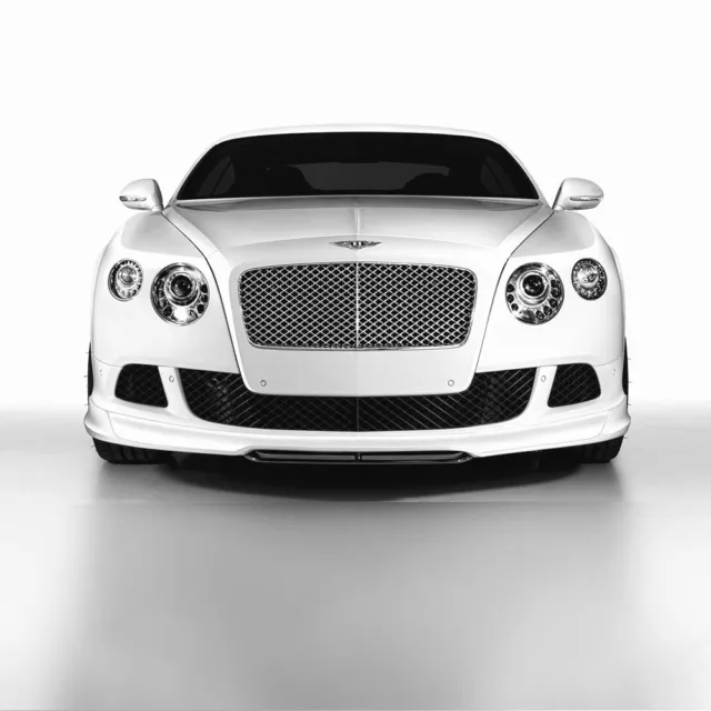 Bentley Continental Gt Gtc Front Bumper Grill Set Black W12