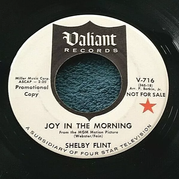 Shelby Flint - Joy in the Morning/Lonely Cinderella 45 Promo Valiant teen HEAR