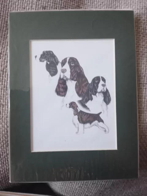 Lovely Spaniel Dogs Mounted Print New