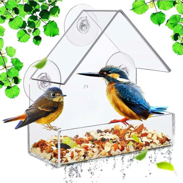 https://www.picclickimg.com/LkQAAOSwxLNlleld/Suction-Cup-Mount-Pet-Bird-Feeder-Clear-House.webp