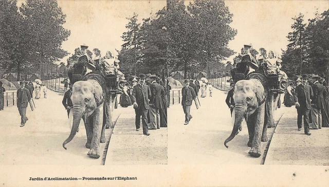 Cpa 75 Paris Jardin D'acclimatation Promenade Sur L'elephant