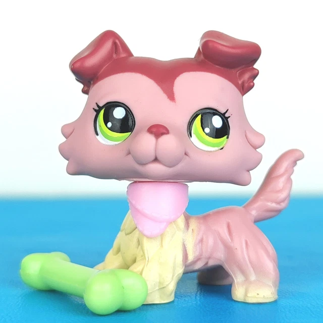 Figurine Littlest Pet Shop LPS – Chien Collie Colley N°893 – Hasbro Authentique