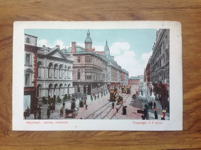 Vintage Postcard Belfast Royal Avenue , Northern Ireland . Free UK P&P