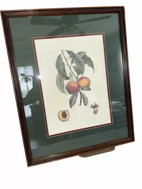 Beautifully Wood Framed, Country Apple Themed Wall Art