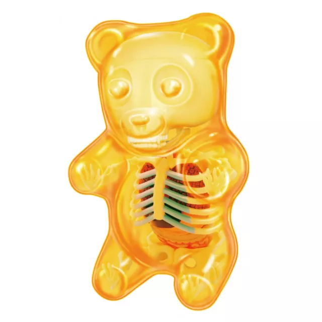 Jason Freeny 4D Master Funny Anatomy Gummi Bear Figure clear orange