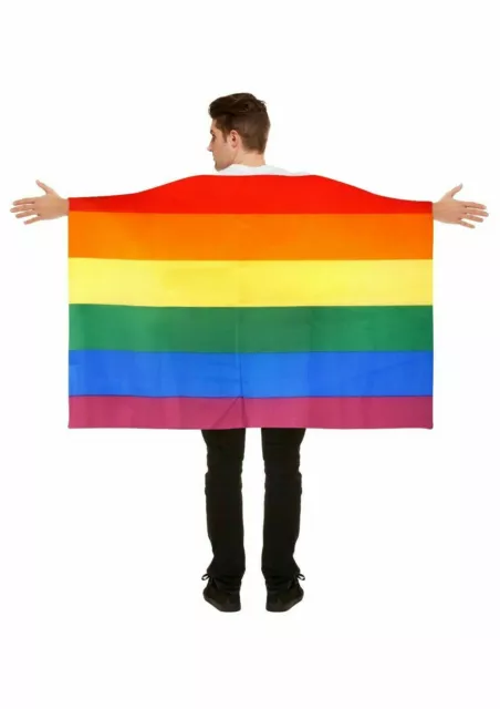 PRIDE FESTIVAL FLAGS LGBT Rainbow Diversity Lesbian Gay Parade 5ft x 3ft Flag UK