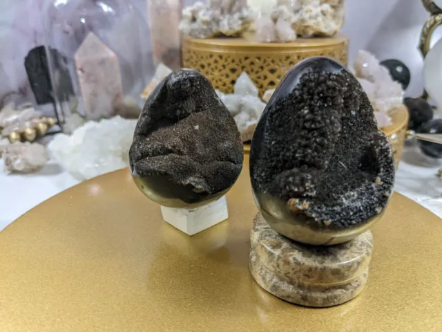 Septarian Stone Dragons Egg Dragonstone Black Druzy Display Nodule Polished Geod