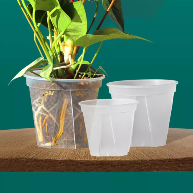 Clear Orchid Pots Flower Pots Garden Plant Grow Pots Plastic 10/12/15/18/21/24CM