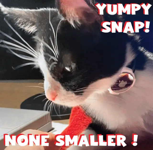 ¡Yumpy SNAP!? Porta etiquetas de aire pequeño gato gatito, etiqueta de aire mascota perro, MEJOR GPS más pequeño