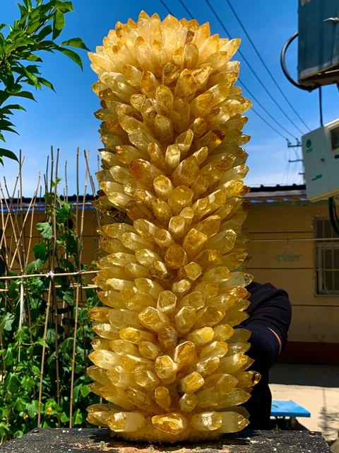 60.45LB  New Find yellow Phantom Quartz Crystal Cluster Mineral Specimen Healing 5