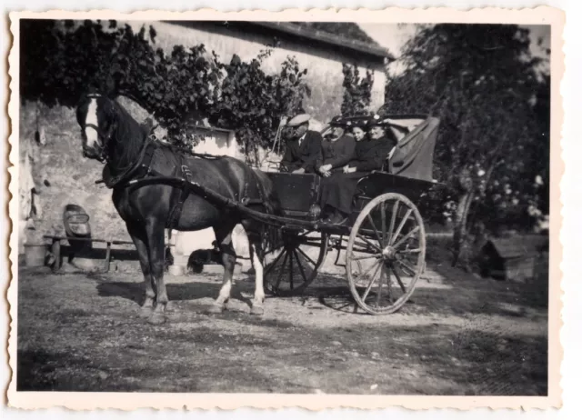 Horse cart ride - old year photo. 1930 40