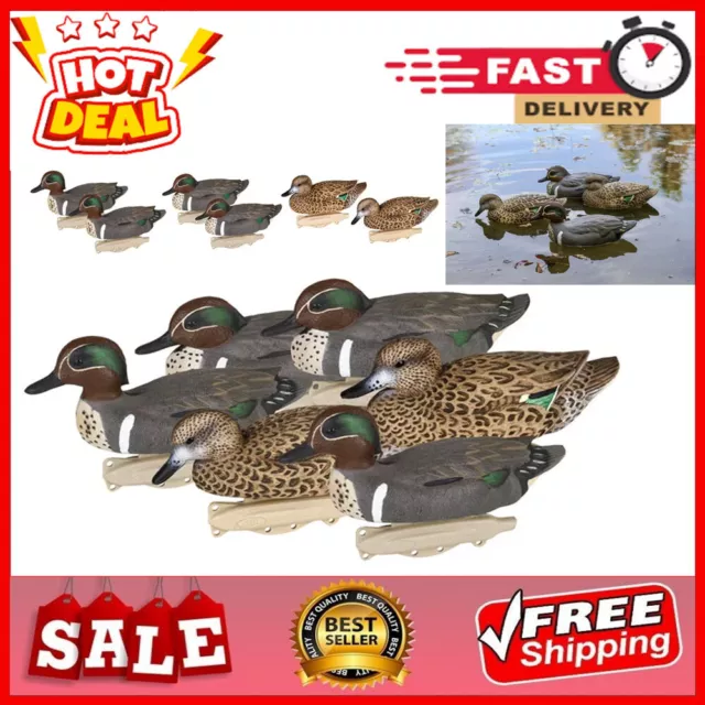 10.5'' 6 Pack Outdoor Hunting Front 2 Green Winged Teal Decoys Waterfowl Floater